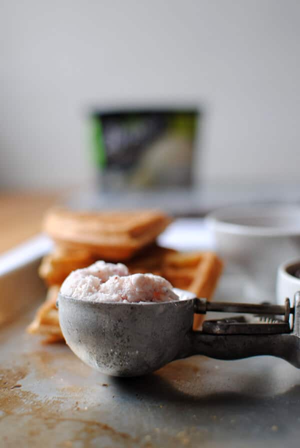 Ice Cream Scoop with Waffles