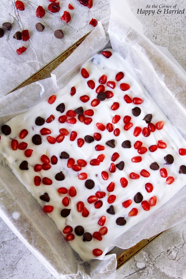 Healthy Desserts: Frozen Yogurt Bark