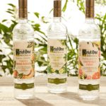 Ketel One Botanical