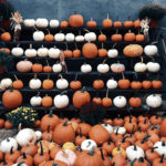Fall Hashtags for Instagram - pumpkins