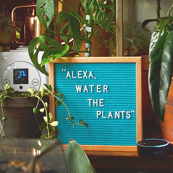 Amazon Gift Guide Letter Board