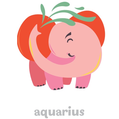 Your Monthly Horoscope for December 2018 - Aquarius