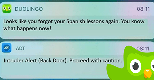Duolingo Memes - intruder back door alert