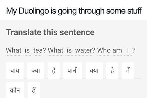 Duolingo Memes - identity crisis