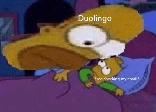 Duolingo Memes - the simpsons homer bart