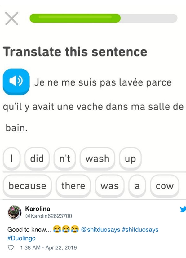 19 Hilarious Duolingo Memes That Prove the Owl is Out to ...