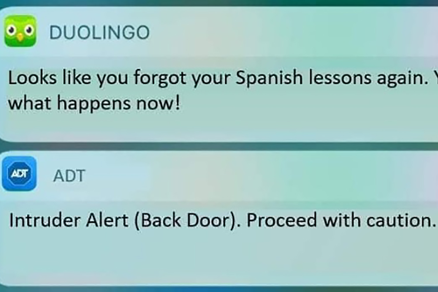 https://www.letseatcake.com/wp-content/uploads/2019/04/Duolingo-Memes.jpg