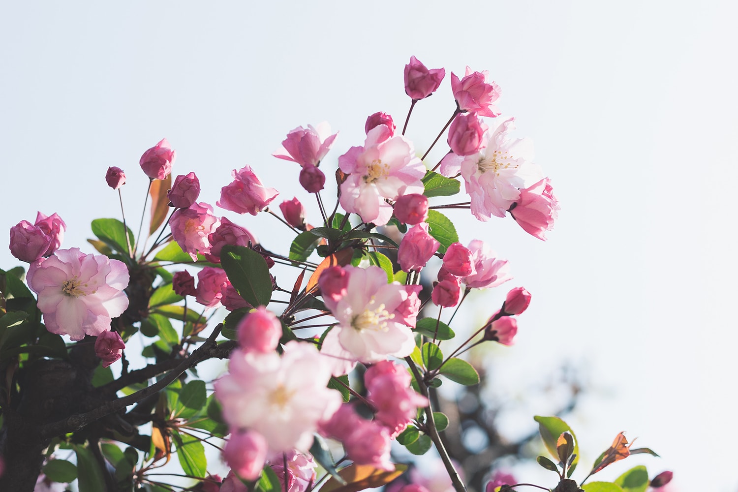 Funny April Horoscopes 2019
