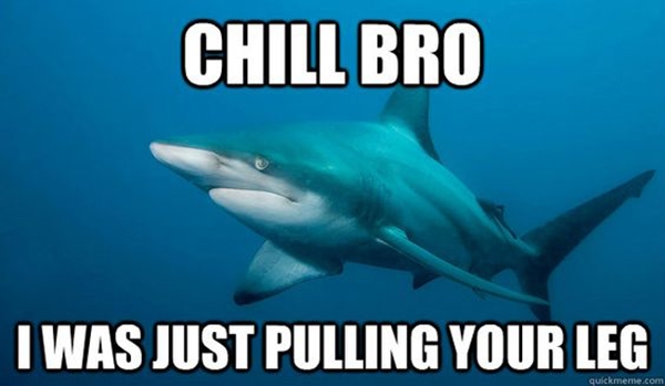 Beach Puns - Shark