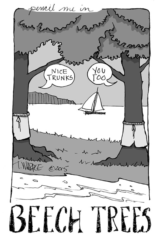 Beach Puns - Nice Trunks