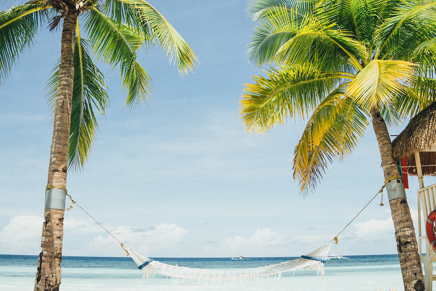 Funny Horoscopes - Palm trees and hammock on beach