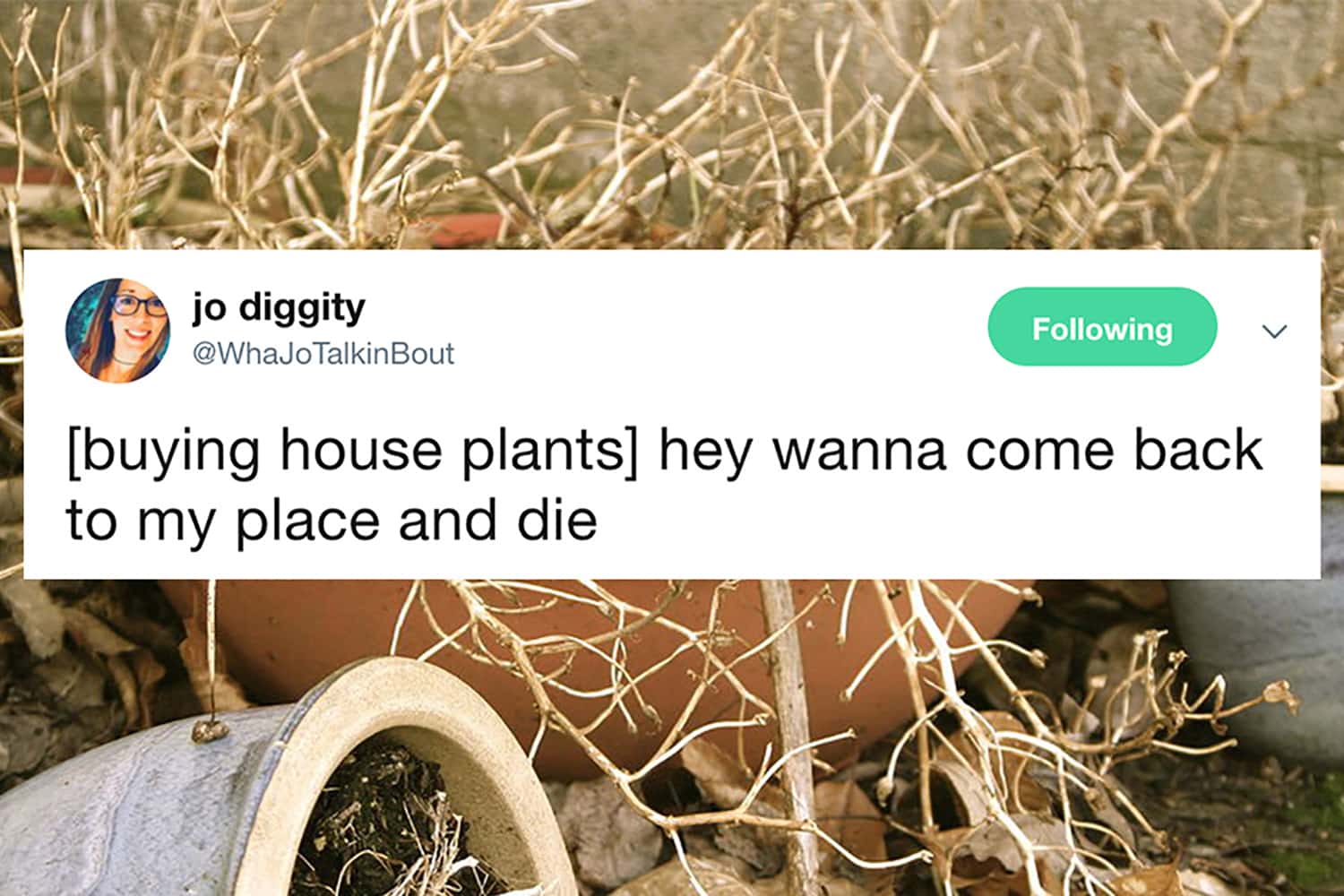Funniest Twitter Accounts WhaJoTalkinBout