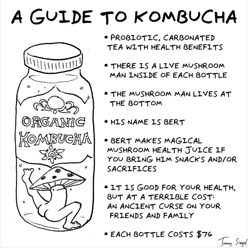 Tommy Siegel - Kombucha