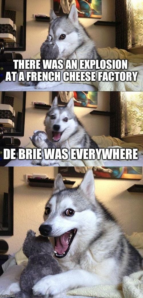 Cheese Puns - De Brie