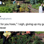 50 Funny Tweets by Women