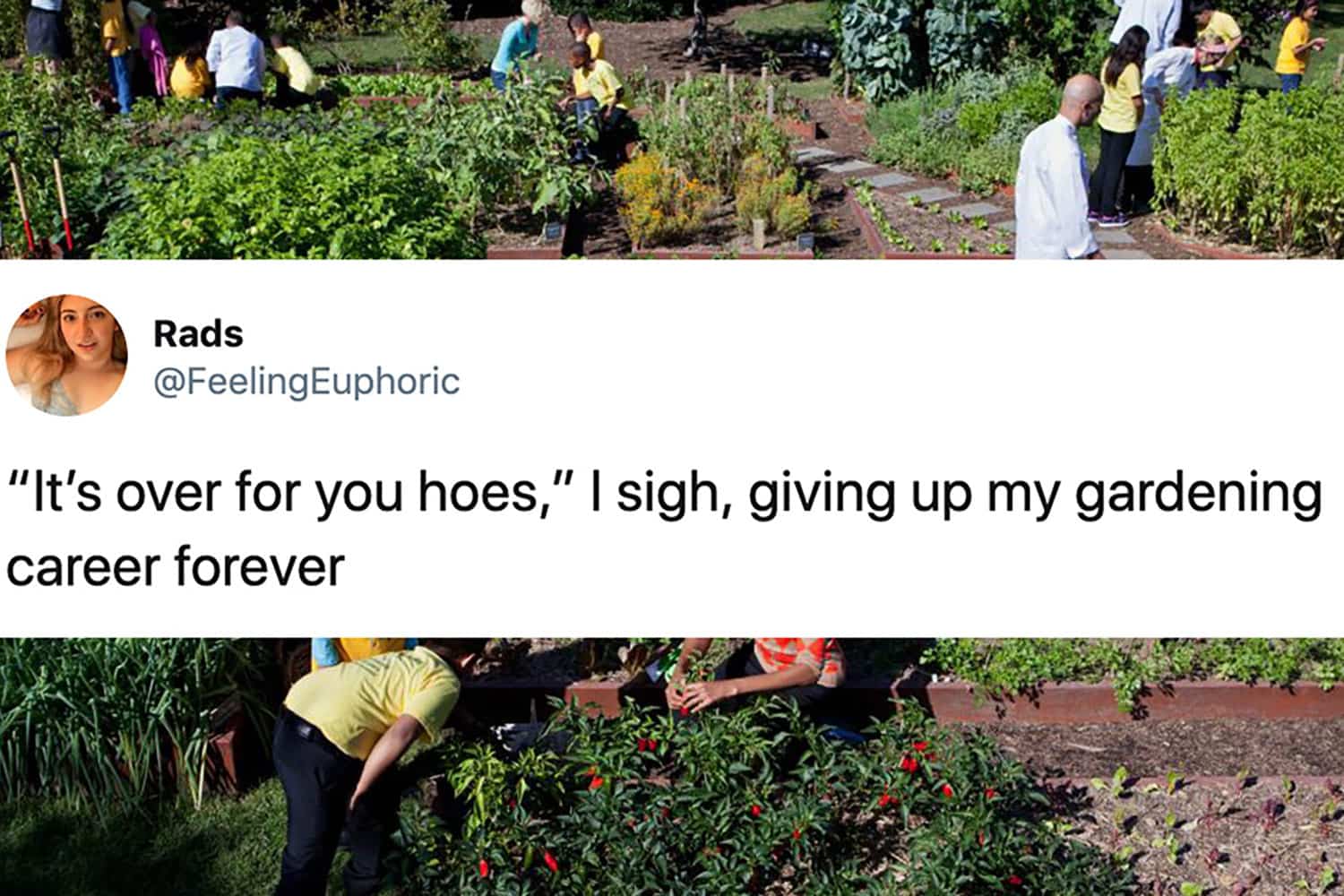 The 50 Funniest Tweets From Women Let S Eat Cake