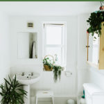 Types of Toilets Around the World