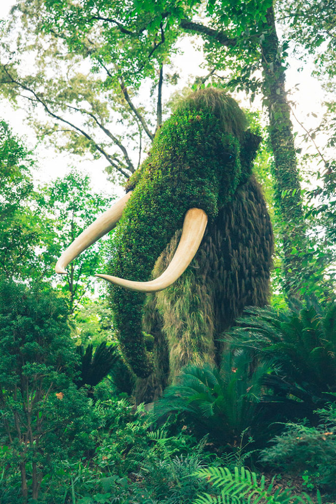 Where to Exchange Currency - mammoth topiary