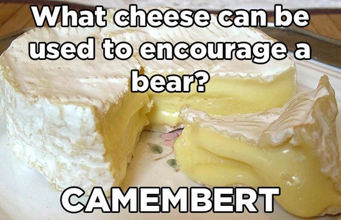 cheese puns - camembert