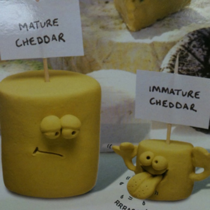 cheese puns - mature cheddar