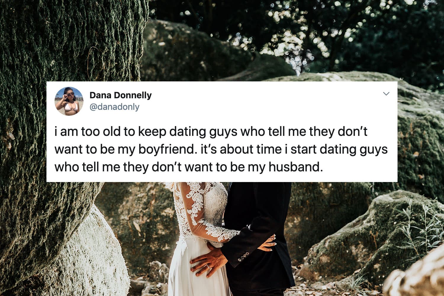 25 Funny Tweets from Dana Donnelly to Entertain You At Work - Let's Eat Cake