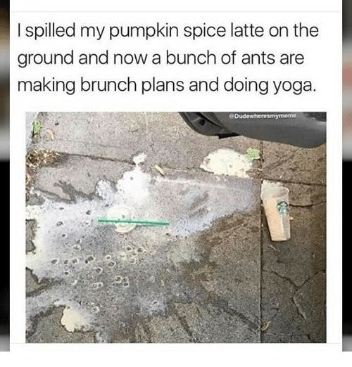 Pumpkin Spice Latte Memes - ants making brunch plans and doing yoga