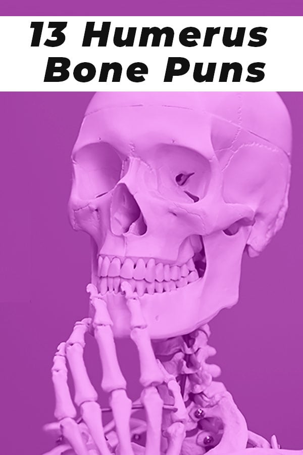13 Humerus Bone Puns