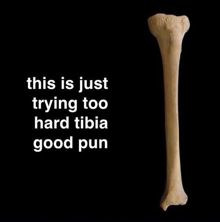 Bone Puns - Tibia