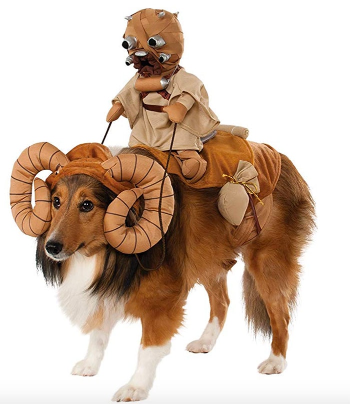 Funny Dog Costumes for Halloween - Star Wars Bantha Rider