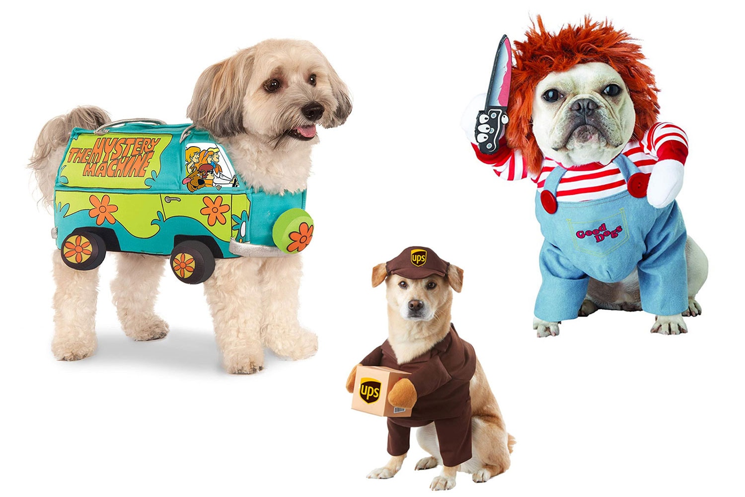 15 Funny Dog Costumes For Halloween Let S Eat Cake