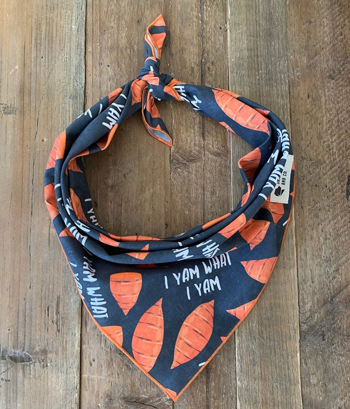 Thanksgiving Puns - i yam what i yam dog bandanna