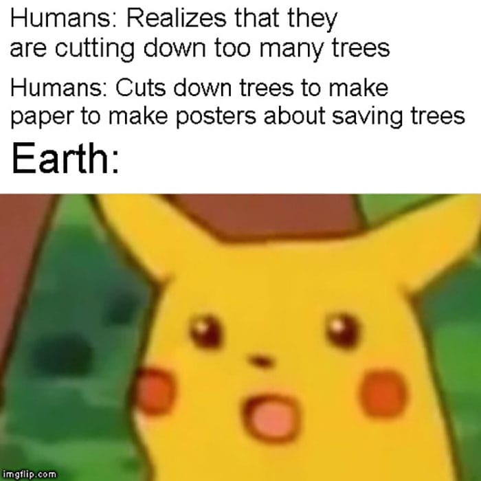 Pikachu Meme - Earth