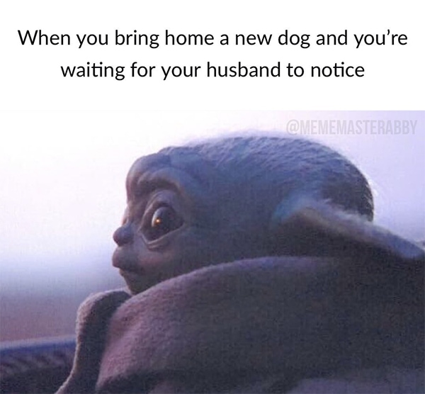 27 Baby Yoda Memes You Need Like A Jedi Needs The Force Let S Eat Cake