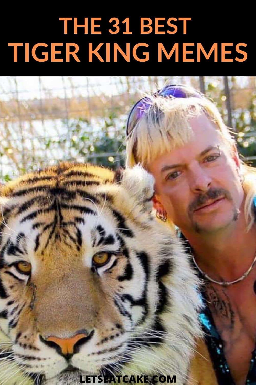 The 32 Best Tiger King Memes (So Far) Let's Eat Cake