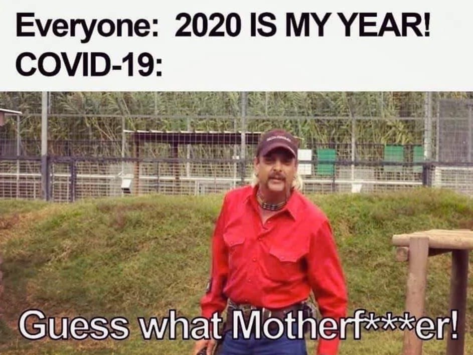 tiger king memes COVID