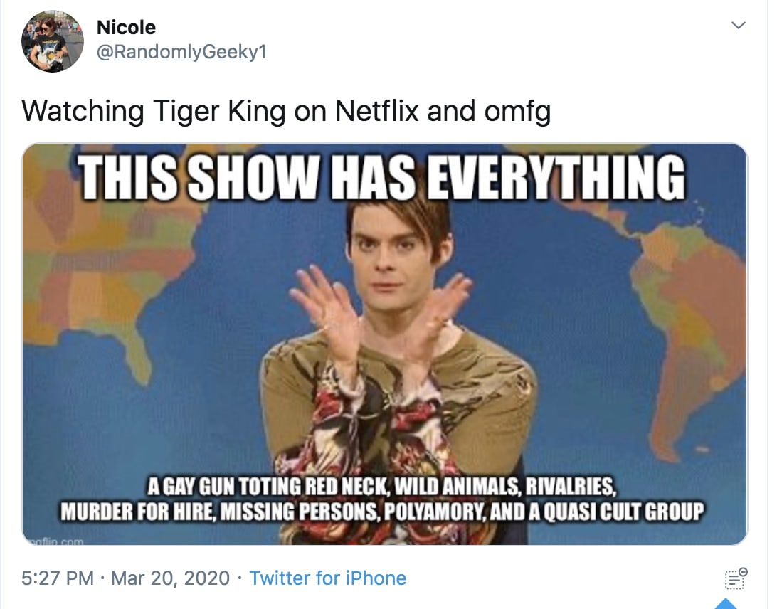 this netflix show has everything