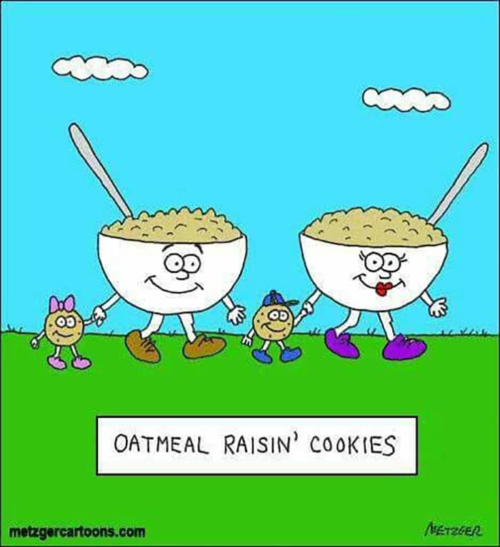 Cookie Puns - Oatmeal Raisin