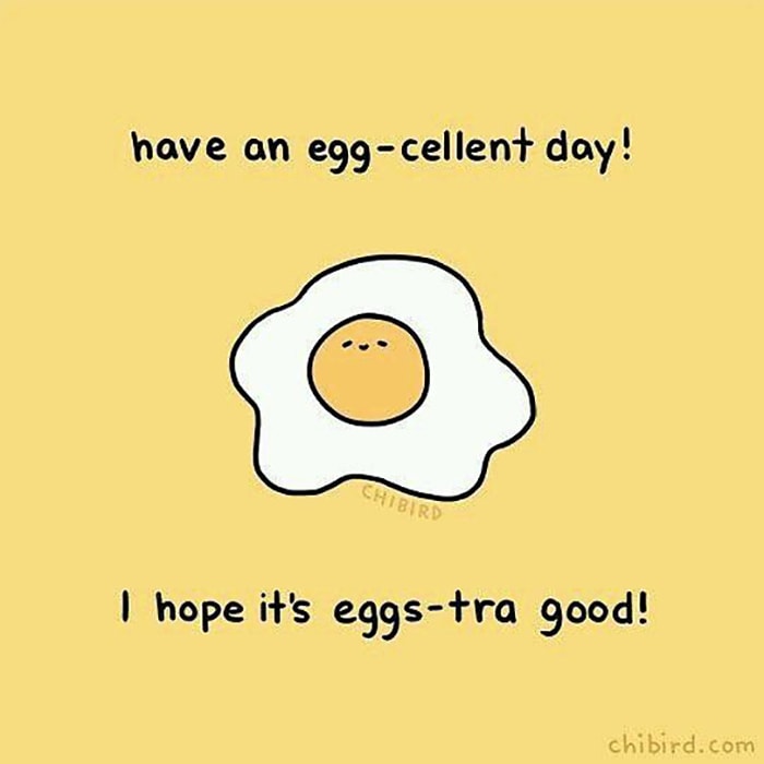 30 Egg Puns That Are Hilarious (If You Get The Yolk) Thought Catalog ...