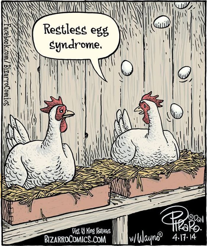 Restless Egg Syndrome