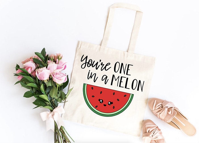 Watermelon Puns - one in a melon