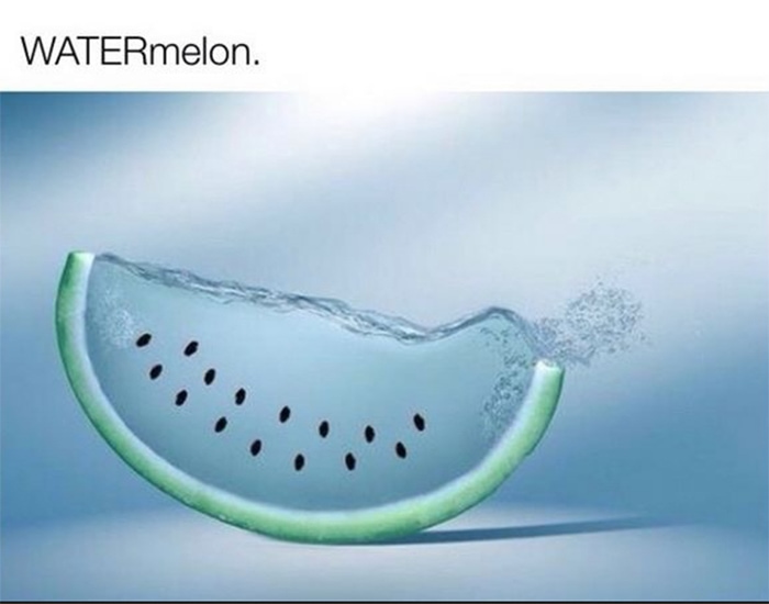 Watermelon Puns