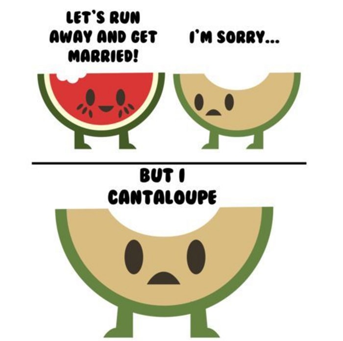 Watermelon Puns - cantaloupe