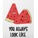 Watermelon Puns - one in a melon