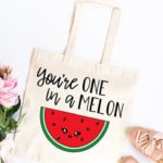 19 Juicy Watermelon Puns for Your Instagram Captions - Let's Eat Cake