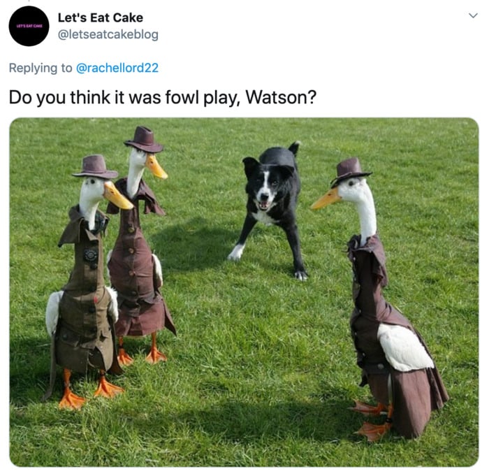 Duck Fashion Show - Sherlock Holmes