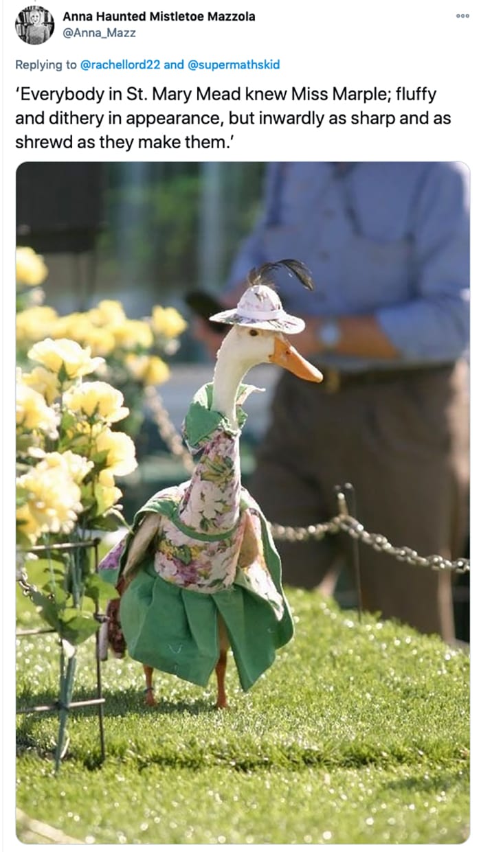 Fancy Ducks