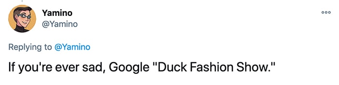 Duck Fashion Show - Joy