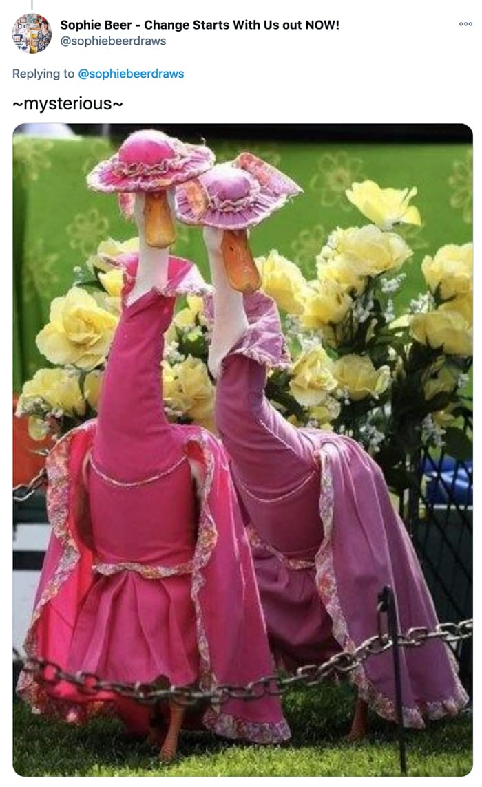 Duck Fashion Show - pink dresses