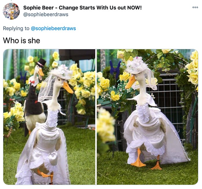Duck Fashion Show - wedding dress