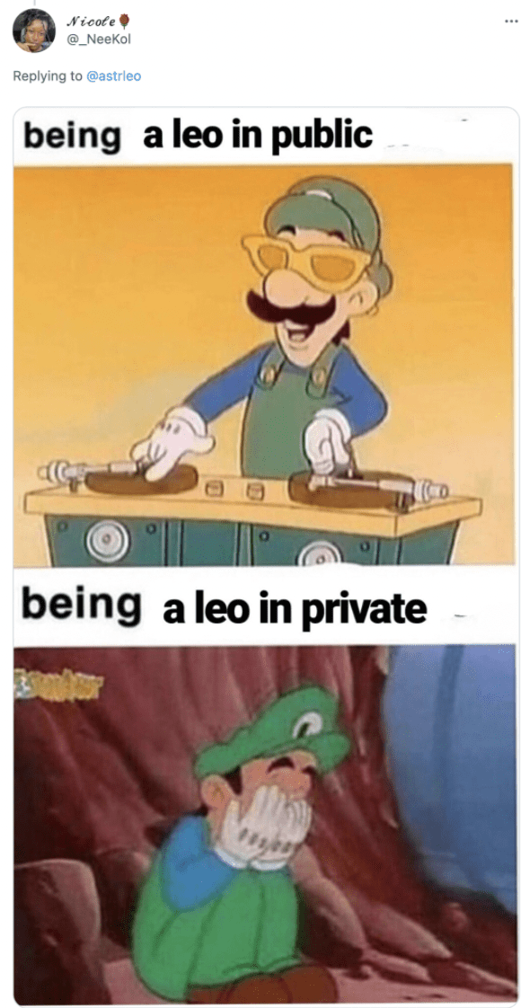 Leo Memes